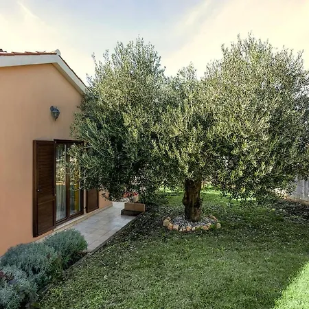 Lumare Terra - Garden&pool In Istria - K13 Villa *